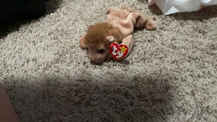 Rare collectible beanie baby