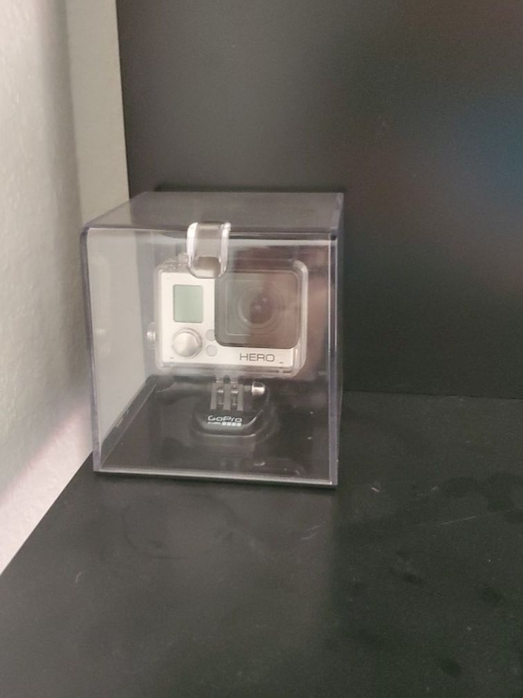 Go Pro