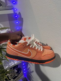nike x sb dunks