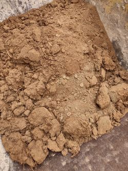 Free Fill Dirt - will deliver for free too