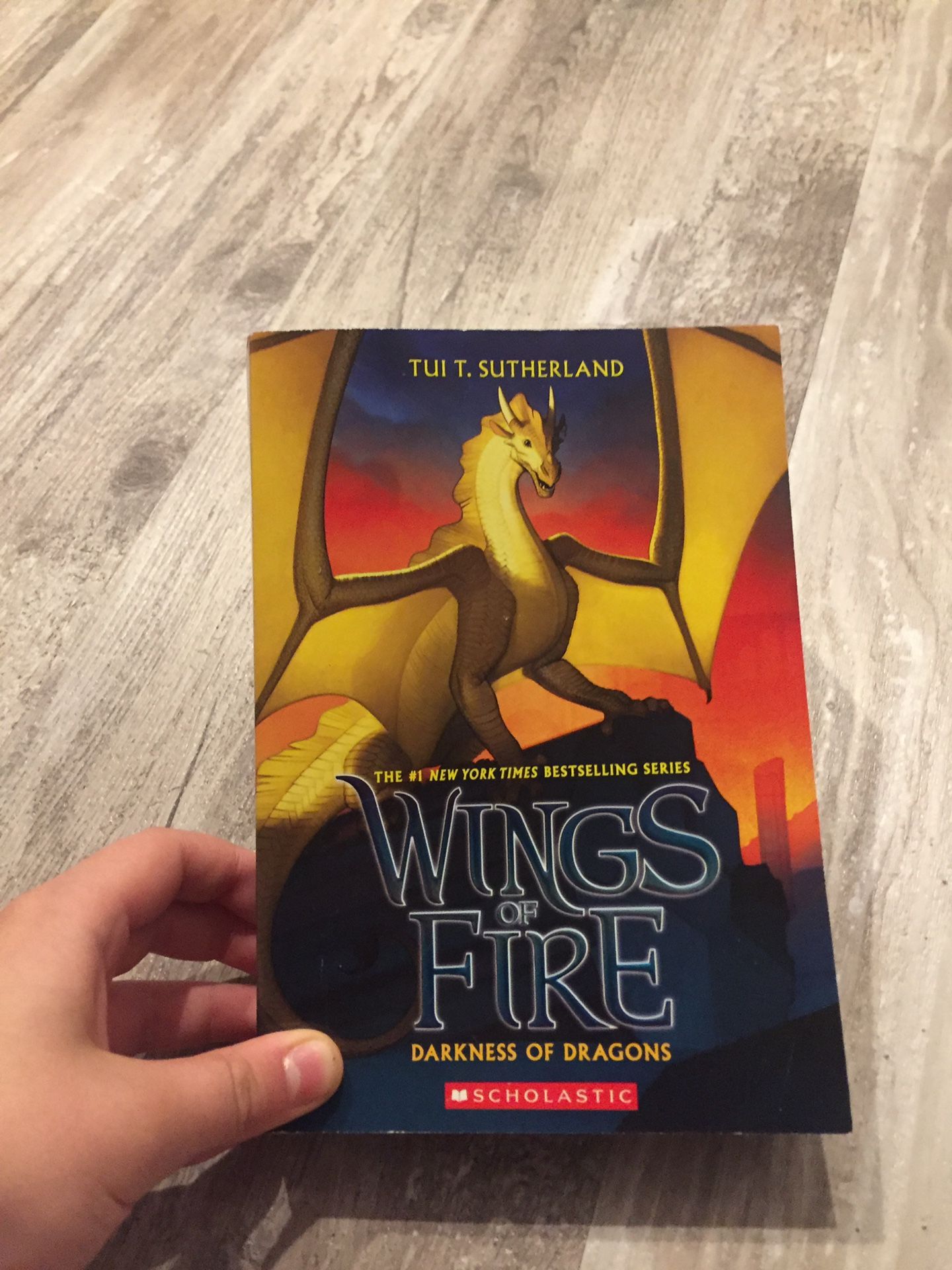 Wings Of Fire Book 10