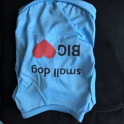 Ropa De Perrito (Rat Terry)