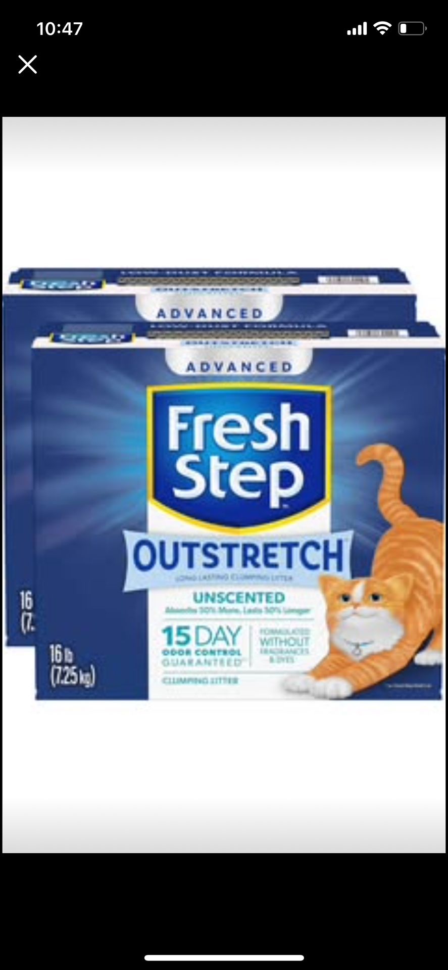 Cat Litter And Waste Disposal