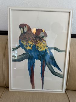 PRINT PAINTING FRAME PARROT