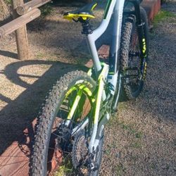 Giant Trance  Mountain Bike 