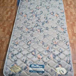 Springwall Tw,in ma,ttress 8 inch, firm type, two sided.