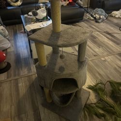 Cat Tree Cat House