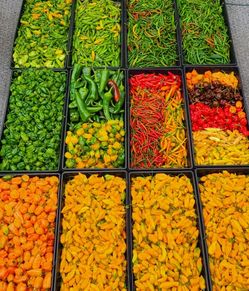 Pepper Growers Of Washington State - Group