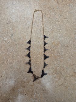 14k Yellow Gold Shark Tooth Necklace 22"