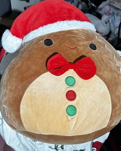  Squishmallow Jordan The Gingerbread Man