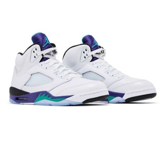 Air Jordan 5 "Grapes" Size 14