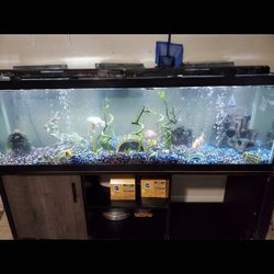 125 Gallon Fish Tank