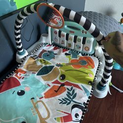 Kick N Play Fisher Price 