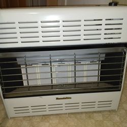 HR25TL-1 Propane Heater