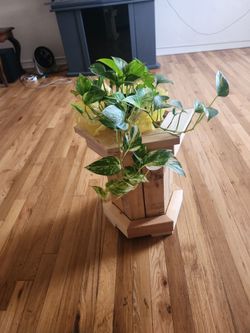 Cute planter
