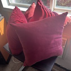 4 Sun Dried Pillows 