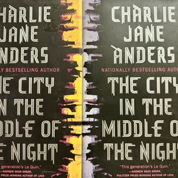 2 Copies Of The City In The Middle Of The Night