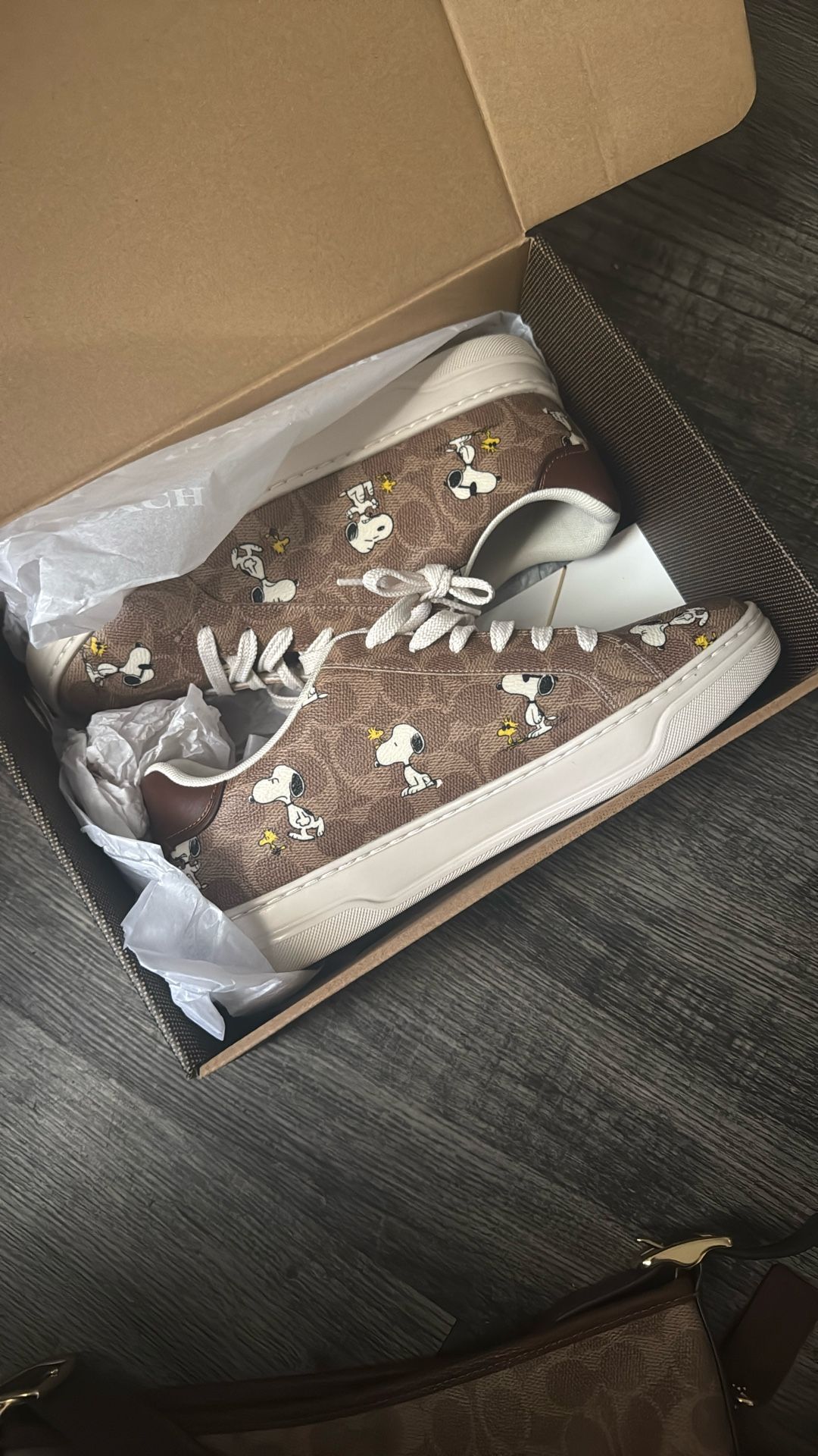 Coach Bag And Shoes 9.5 WOMANS