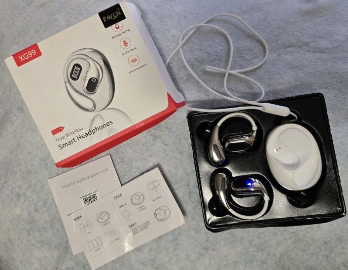 Translator Bluetooth Wireless Earbuds
