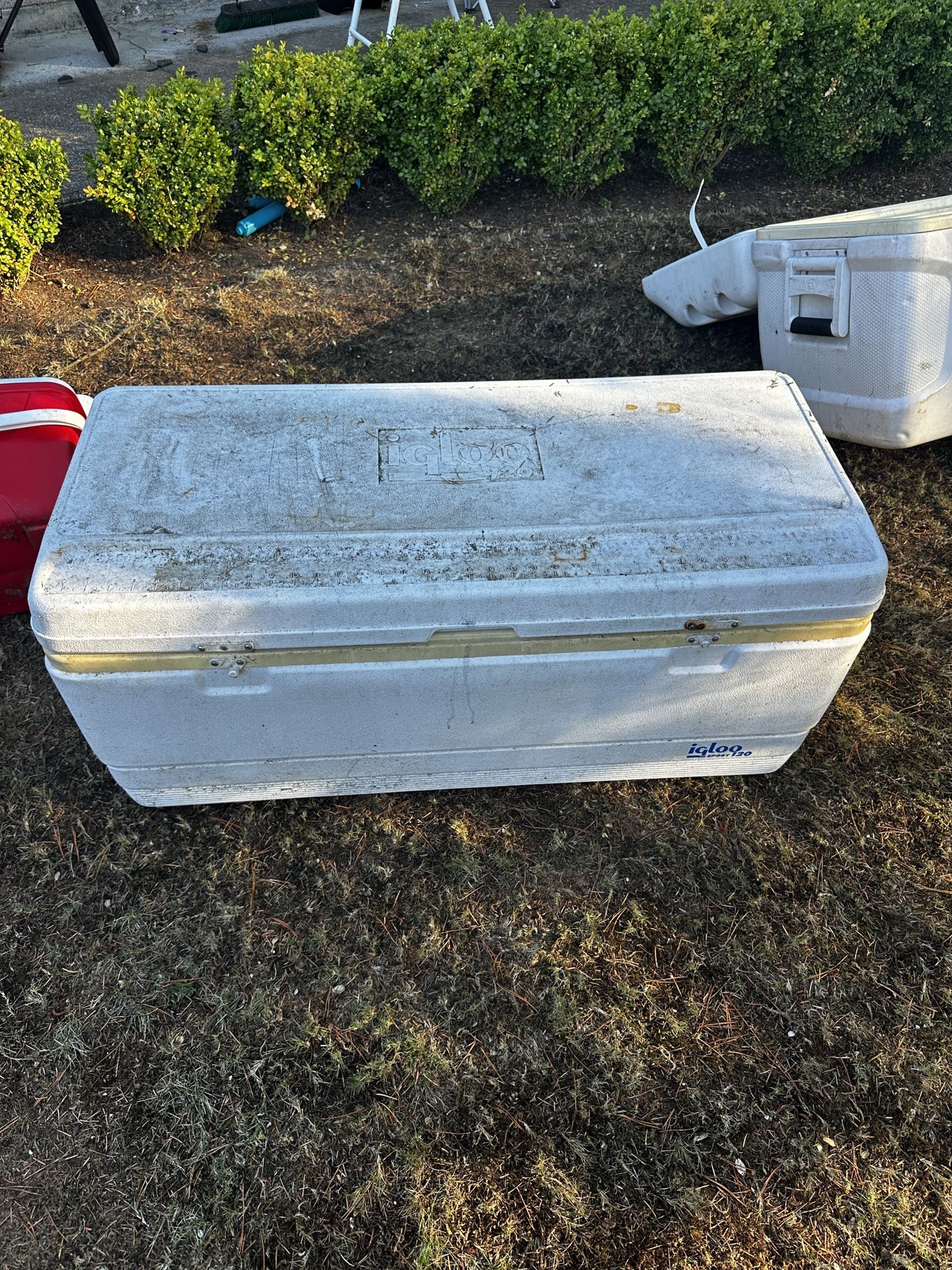 Cooler