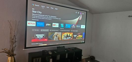 120" Projection Screen with Projector and Programmed Fire Stick