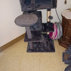 Cat Condo