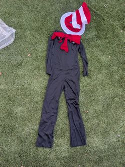 Cat in the Hat costume