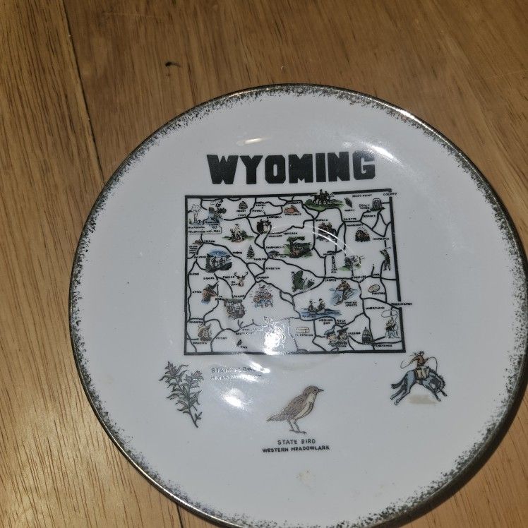 Vtg Wyoming Souvenir Decorative Plate Attractions Rodeo Meadowlark