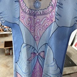 Princess Costume. Size Medium