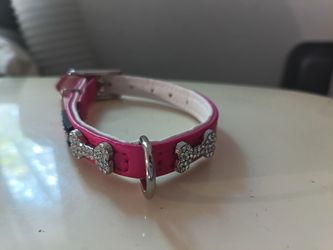 Hot pink dog collar