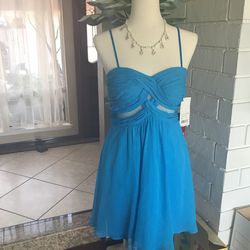 Brand New Adrianna Papell Sky Blue Dress