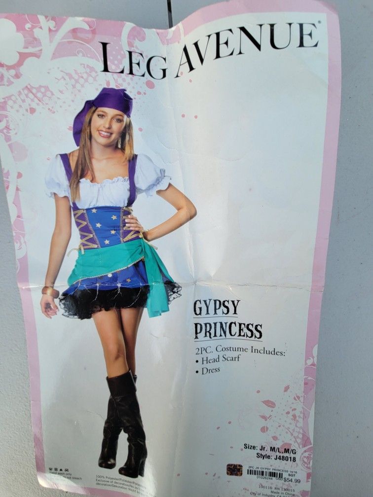 Gypsy Halloween Costume