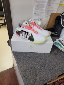 Nike LeBron XXII Size 12.5