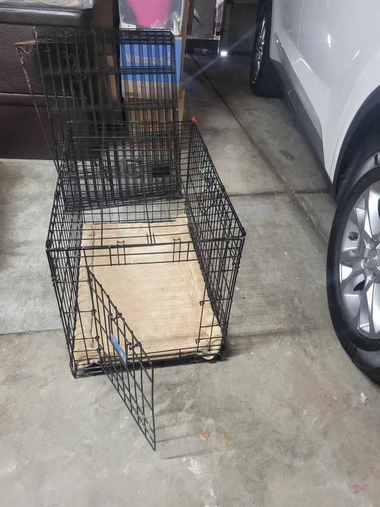 Dog Kennel