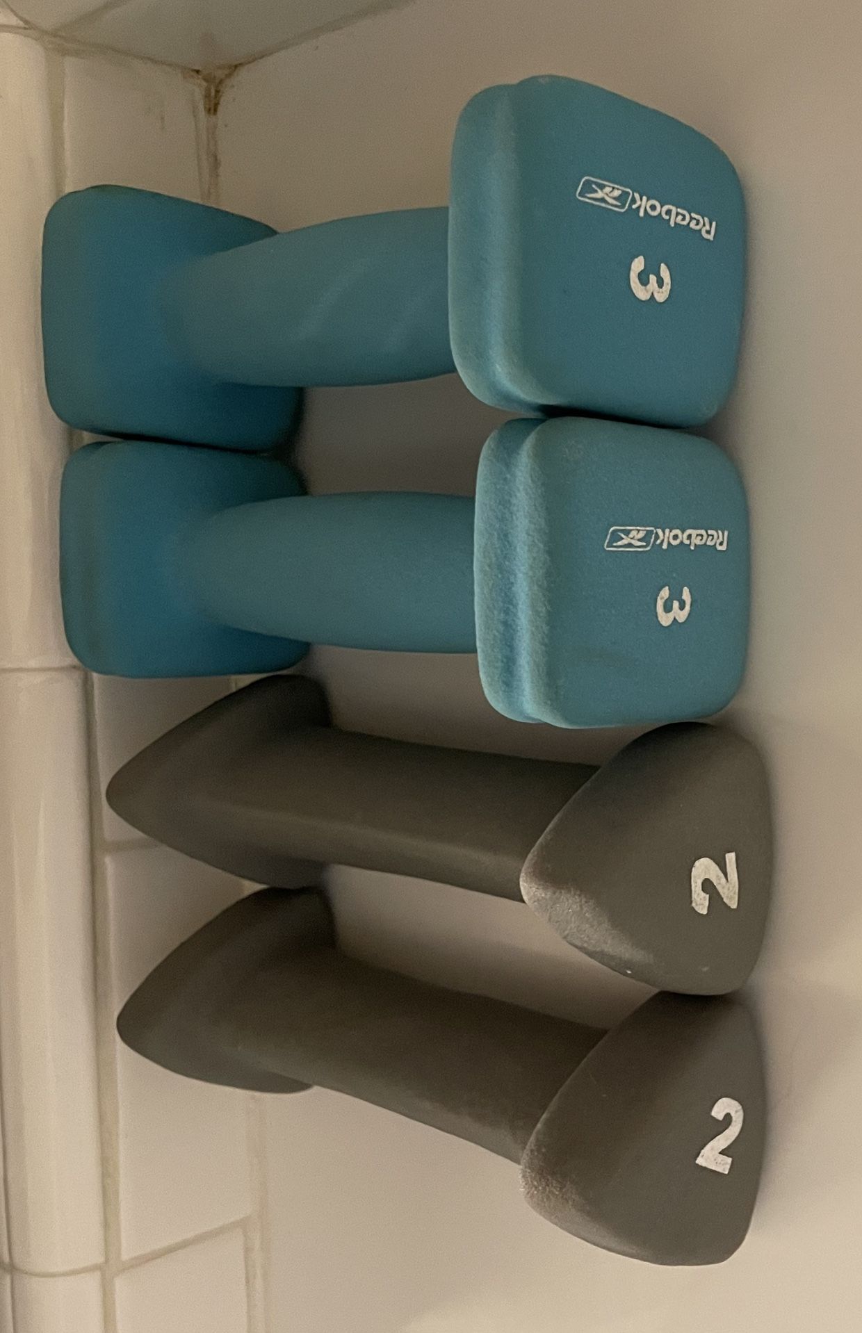 2lb And 3lb Weights
