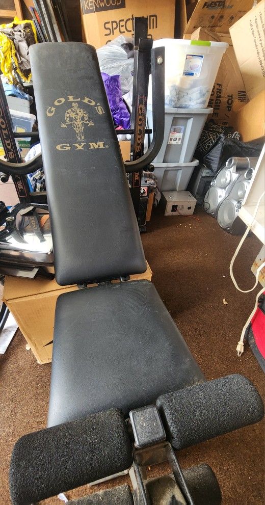 Golds Gym Weight Bench