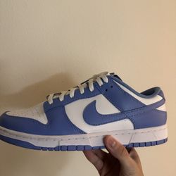 Nike Dunk Retro Size 12 Men