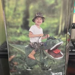 Inflatable Children Halloween Costumes (Trex And Flamingo) $25 Each