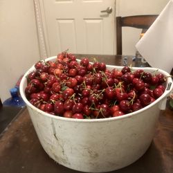 Bote De Cherry En $50  Y Bolsitas De $5 