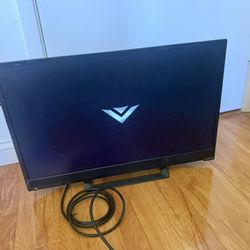 Vizio 39in Monitor TV