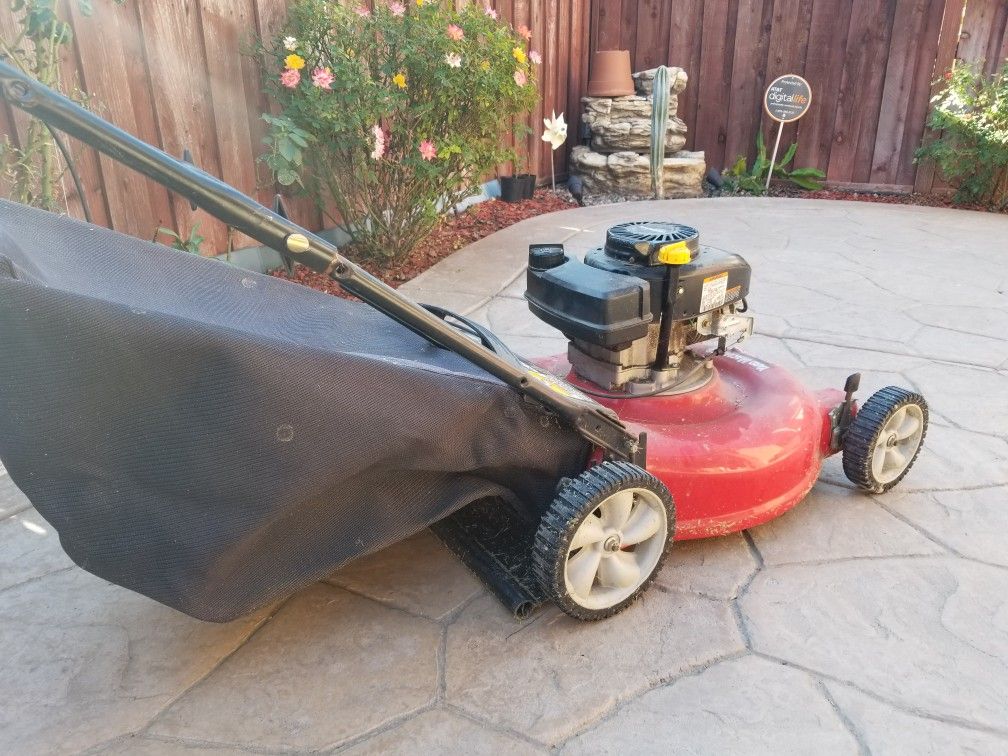 Gas Lawn Mower with Bag
