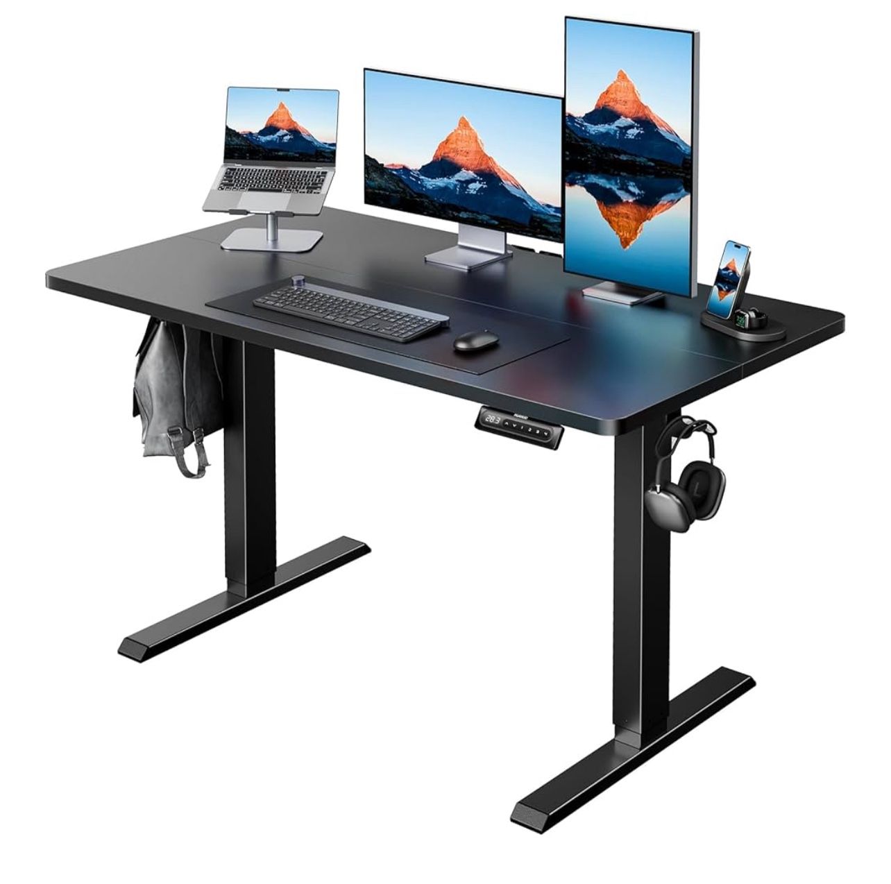 Electric Standing Desk $75