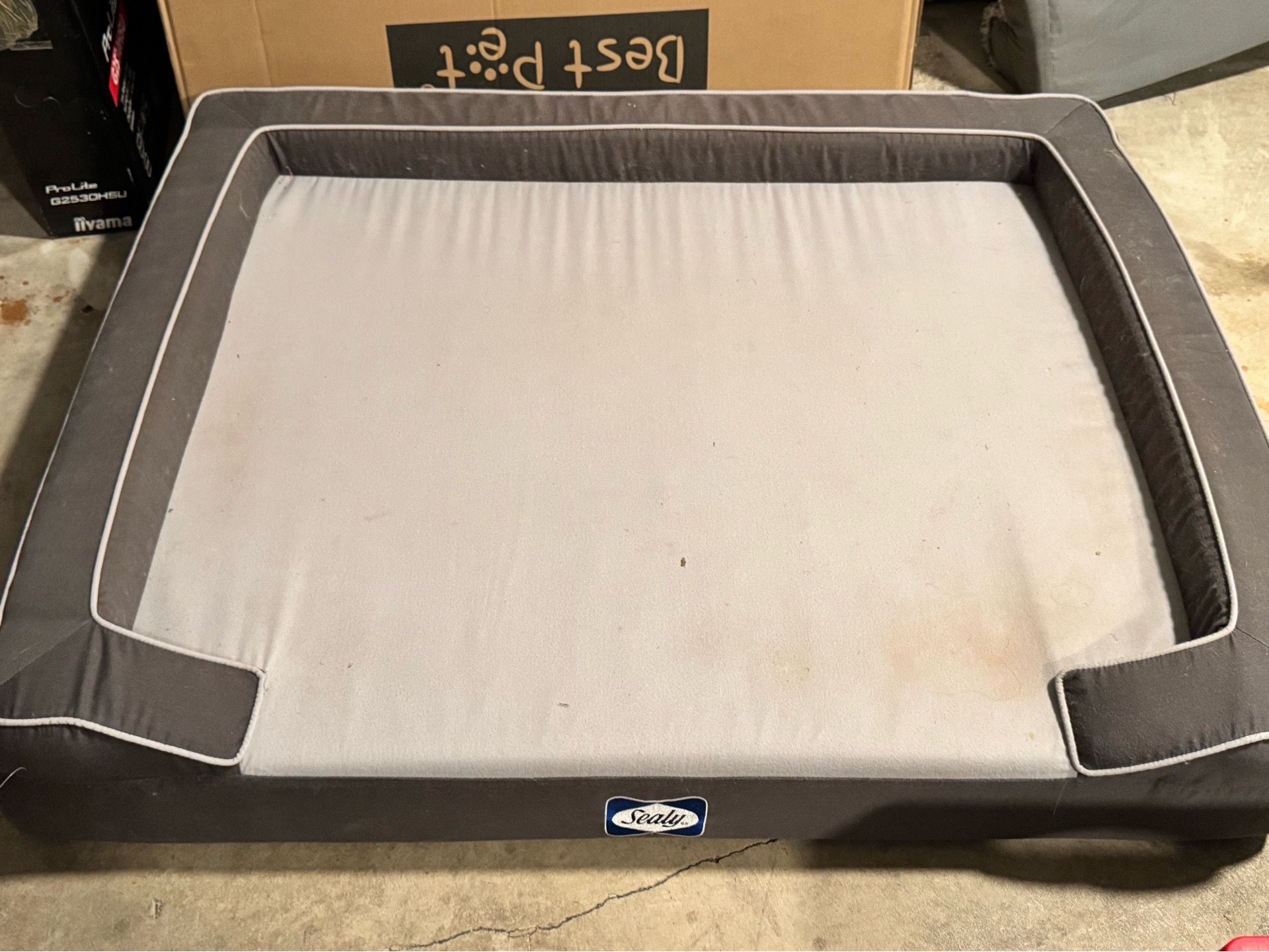 Sealy extra large dog bed