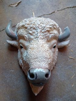 White Buffalo
