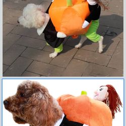 Pet Costume Dog Cat Pumpkin Pets Suit Halloween Costumes Pets Clothing for Small Dogs and Cats