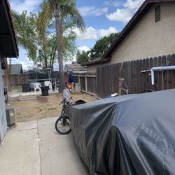 Fence  And Trees Free