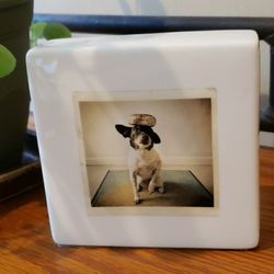 Rae Dunn Dog Balancing Bagel Paperweight