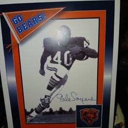 Autograph Chicago Bears Gale Sayers Index Bio Card