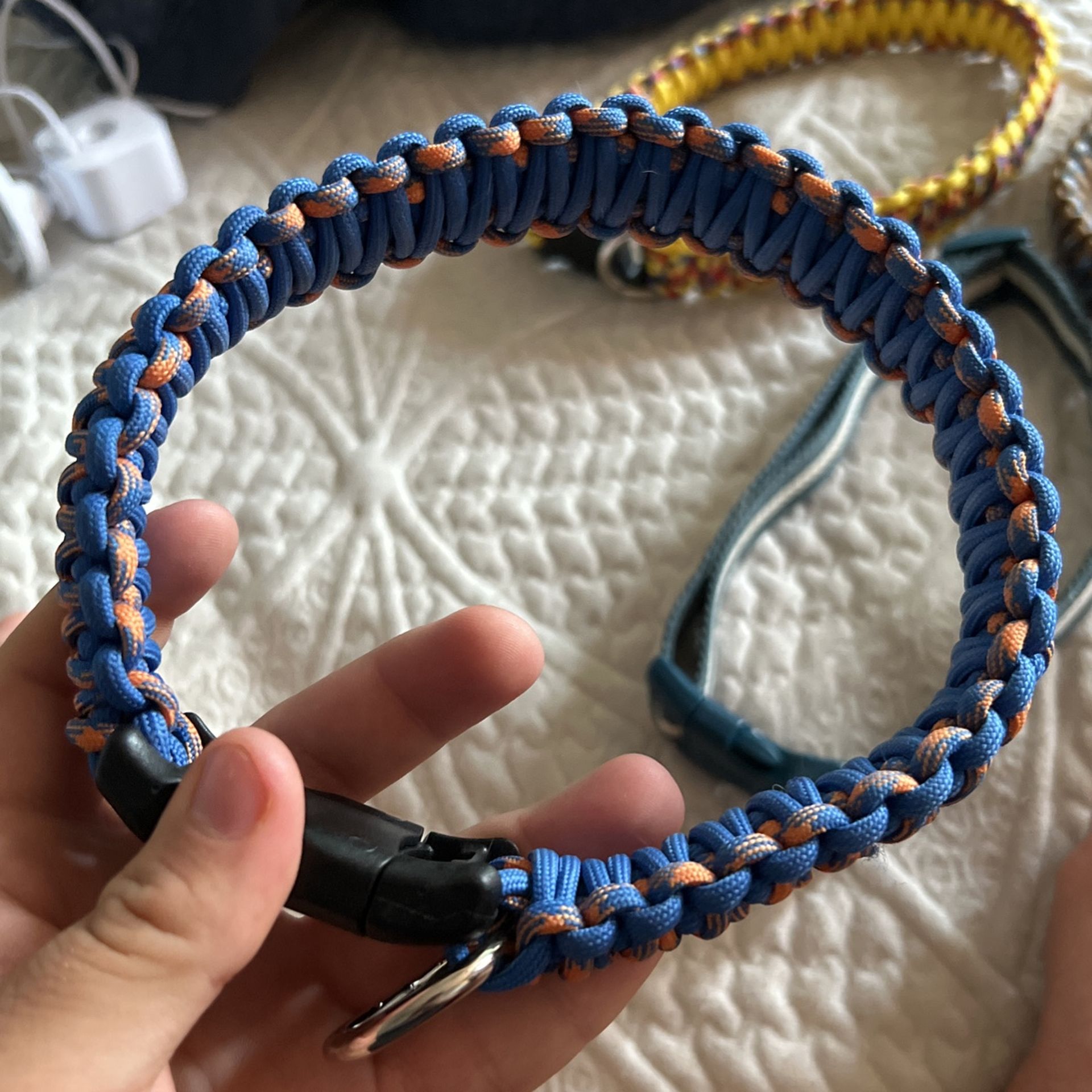 Various Size Dog Collars