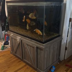 Best Offer Takes Them. Moving Out 